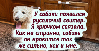 20+ примеров рукоделия, которое язык не повернется назвать хобби — это уже искусство