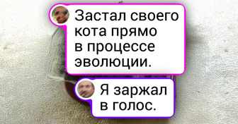 16 случайных кадров, которые невозможно повторить (и это не фотошоп)