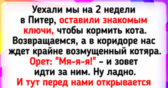 20+ хозяев, которые души не чают в своих питомцах. Хоть иногда и влипают из-за них в истории