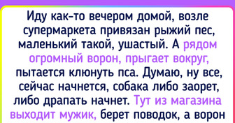 15 потешных историй о любимцах, которые не дают заскучать всем вокруг