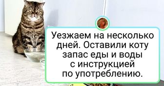 20+ человек, которые любят своих питомцев всеми фибрами души