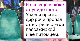 15+ фото, при виде которых понимаешь, сколько неожиданностей может встретиться на пути