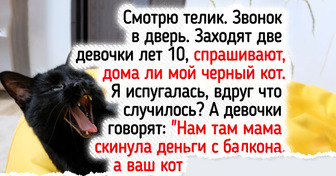 22 питомца, которые творят что хотят, а их хозяевам остается только хвататься за телефон и за сердце