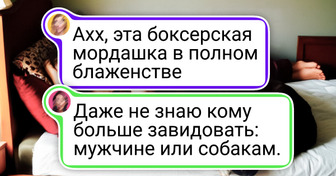 17+ животных, которые удачно попали в объектив фотографа и превратили обычные фото в шедевры эпохи Ренессанса