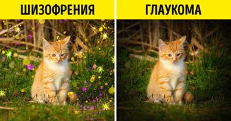 Посмотрите, как сильно меняется картина мира человека в 12 разных состояниях