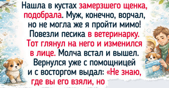 15 добряков, которые просто не могут стоять в сторонке, если хвостики в беде