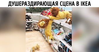 25 случайных сцен из жизни, которые по накалу страстей дадут фору сериалам 90-х