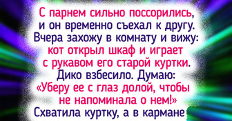 15+ пушистых хулиганов, которые сначала устроили в доме хаос, а потом стали главными любимцами