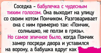 18 пушистиков, которые расцвели в заботливых руках