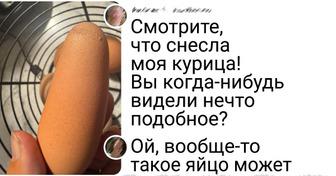 24 фото из повседневной жизни, которые показывают, какой богатый мир вокруг