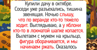 15 историй с запахом скошенной травы, которые могли произойти только в деревне или на даче — 30.03.2026