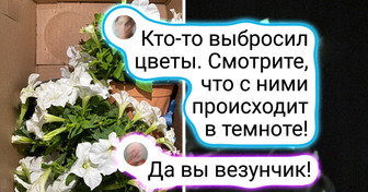 18 человек, которые просто шли по улице и наткнулись на сокровище