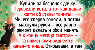 20+ жизненных фото и историй о домашних животных, для которых дача — это летнее королевство