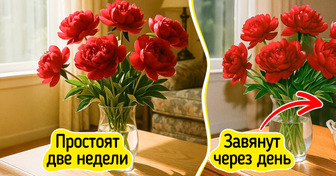 11 зачетных хитростей от флористов, которые меняют правила игры