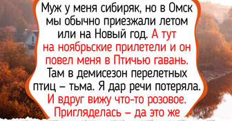 11 мест, которые лучше смотреть не летом, а поздней осенью или зимой