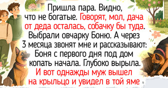 Девушка работает в приюте для животных и рассказывает, почему не променяет эту работу ни на какую другую