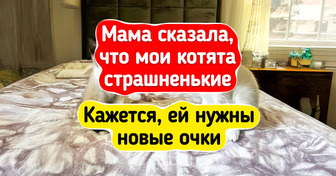 20+ котят, которые будто созданы для того, чтобы ими умиляться