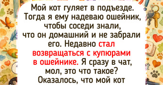 15 пушистых наглецов, которые твердо уверены, что весь мир крутится вокруг них