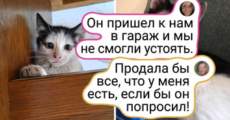 20+ хвостиков, которых жизнь сначала не баловала, а потом будто решила выдать все хорошее разом