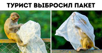 16 щемящих фото, которые показывают, как далеко мы зашли в разрушении Земли