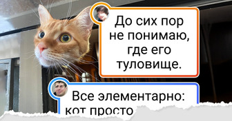 20+ фото, на которые смотришь и не сразу понимаешь, что не так