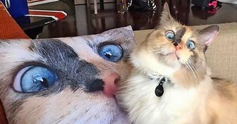 20+ человек, у которых тараканы в голове снова устроили кавардак