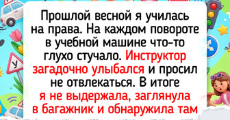 15 человек, которые еще на пенсии вспоминать будут, как когда-то учились водить