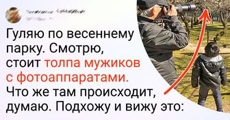 20+ фото, которые доказывают: то, что для японцев — серая обыденность, для нас — диво дивное