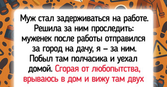 15+ историй, которые до боли знакомы каждому дачнику