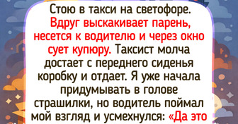 14 случаев на дороге, когда реальность оказалась круче любого кино