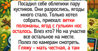 15 историй о дачных буднях, где разворачиваются такие сюжеты, что любой сериал отдыхает