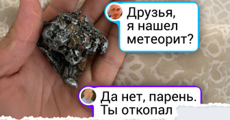 18 осенних находок в лесу, которые поднимают настроение и пахнут мокрой листвой