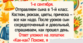 17+ историй о том, как на самом деле прошло 1 сентября