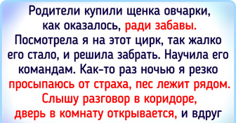 16 трогательных историй о собаках, которые помогли своим хозяевам поверить в настоящую дружбу