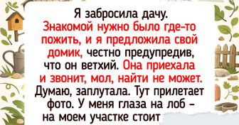 14 душевных историй про соседей по даче, с которыми не жизнь, а малина