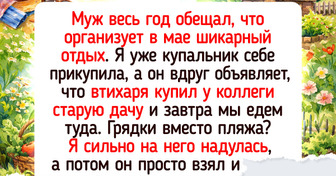 16 дачных историй и фото, которые пропитаны запахом листьев черной смородины
