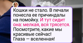 25 трогательных историй о том, как люди заботятся о бездомных животных