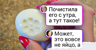 20+ маленьких чудес природы и теплых находок, которые люди случайно подсмотрели вокруг себя