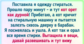 18 историй о том, как жизнь показала свое чувство юмора