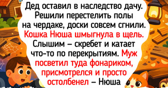 20+ счастливых животных-дачников, которые знают толк в простых летних радостях