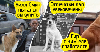 10 пушистых звезд, которые переиграли именитых актеров и влюбили в себя зрителей