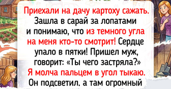 17 сердечных историй и фото о питомцах, теплых, как ветерок в разгар весны