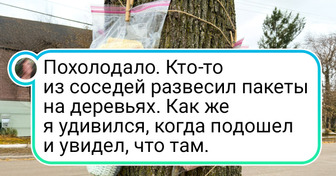 17 случаев, когда соседи удивили своей добротой и заботой об окружающих