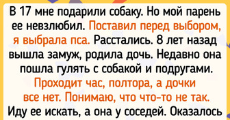 15+ историй о том, как наши любимые питомцы спасают нас