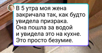 18 человек, которые столкнулись с такими неожиданностями, что можно подумать: "О, как бывает!"