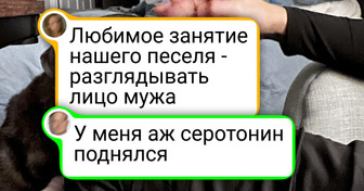 15 питомцев, которые не стесняются показывать свою любовь к двуногим