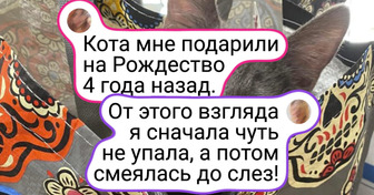 17 случаев, когда люди приютили обычное животное, а выросло чудо какое-то
