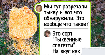 15+ раз, когда природа выдала такое, что остается только спрашивать: «Это еще что?»
