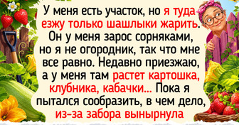 17 дачных историй и фото, наполненных ароматом пионов и молодой картошки с укропом