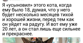 20 харизматичных животных, чья крутость буквально сбивает с ног